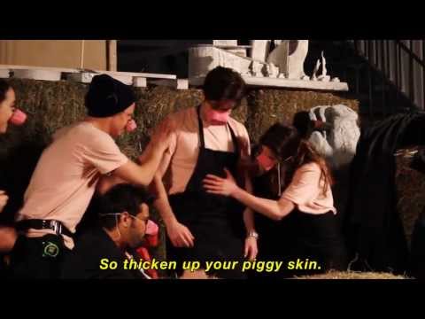 ANIMAL FARM: The Musical